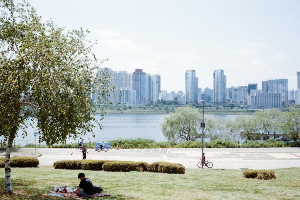 Park with city skyline in the background